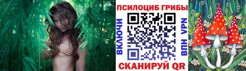 Галлюциногенные грибы мицелий  MEGA как зайти  Суджа  купить наркотик 
